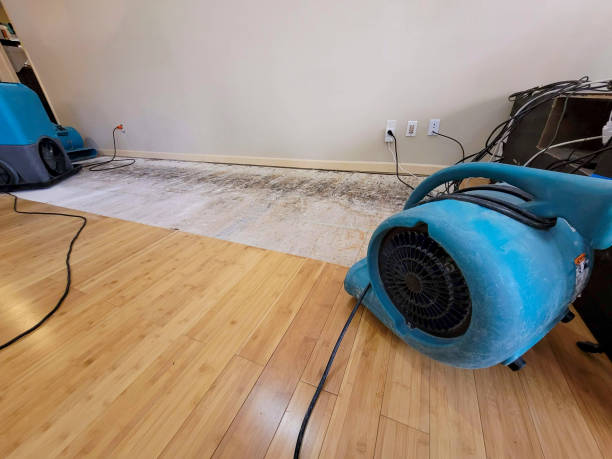 Professional Structural Drying technician working in Park City, IL